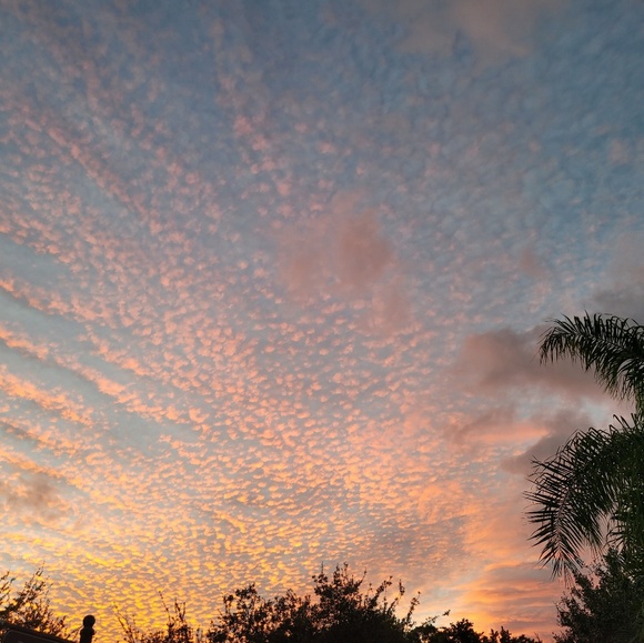 Meet your Posher, Brooke - Picture 1 of 1